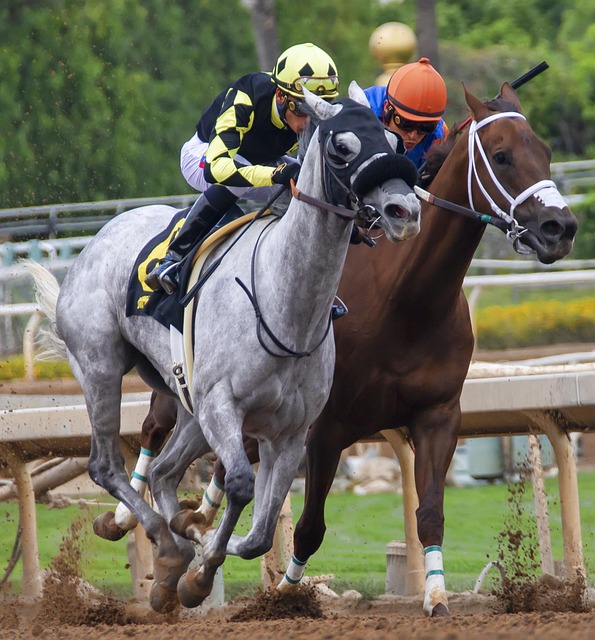 准备好迎接 准备好迎接